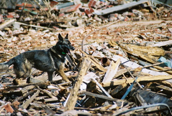SargeRubble3