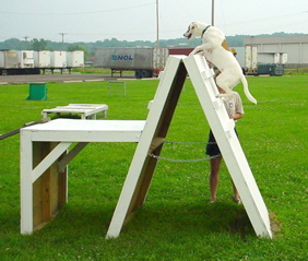 Eco A frame top2